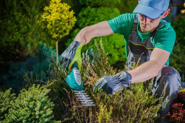 landscaping services Peru